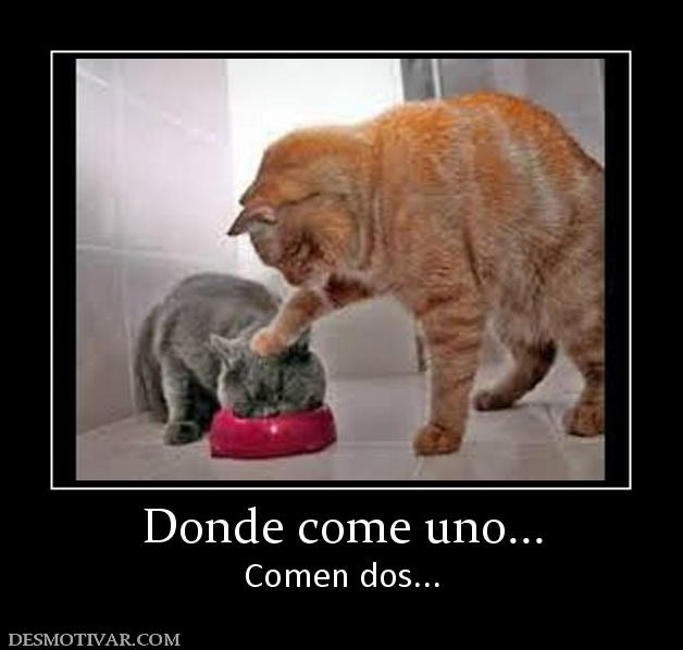 Donde come uno... Comen dos...