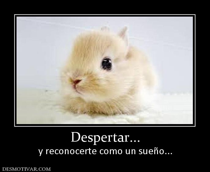 Despertar... y reconocerte como un sueño...