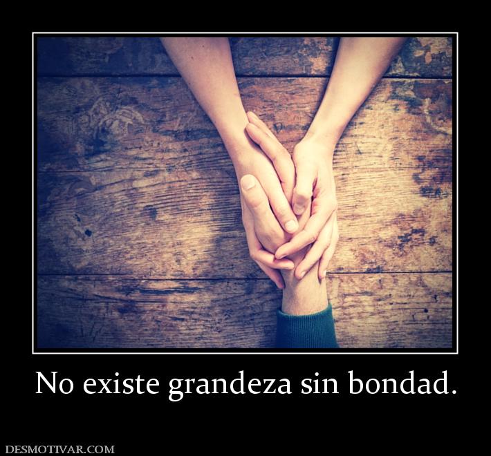 No existe grandeza sin bondad.
