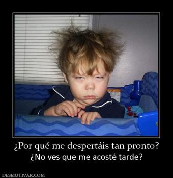 ¿Por qué me despertáis tan pronto? ¿No ves que me acosté tarde?