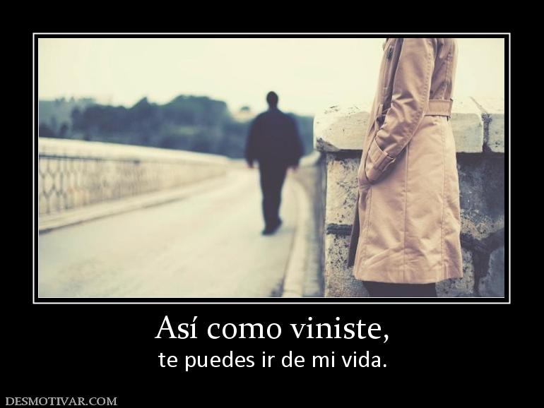 Así como viniste, te puedes ir de mi vida.