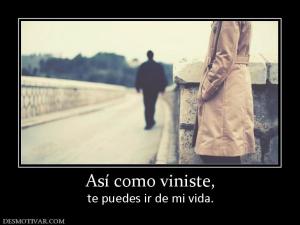 Así como viniste, te puedes ir de mi vida.