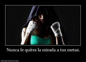 Nunca le quites la mirada a tus metas.