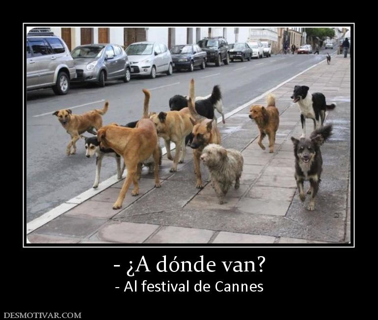 - ¿A dónde van? - Al festival de Cannes