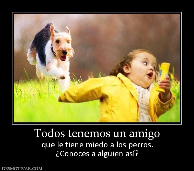 Todos tenemos un amigo que le tiene miedo a los perros. ¿Conoces a alguien así?