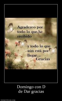 Domingo con D de Dar gracias