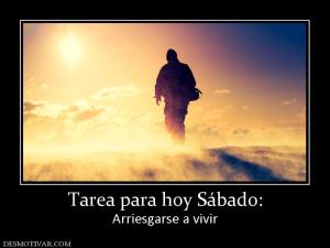 Tarea para hoy Sábado: Arriesgarse a vivir