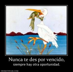Nunca te des por vencido, siempre hay otra oportunidad.
