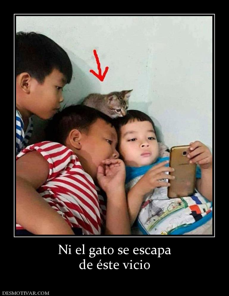 Ni el gato se escapa de éste vicio