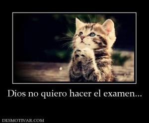 Dios no quiero hacer el examen...