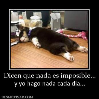 Dicen que nada es imposible... y yo hago nada cada día...