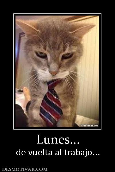 Lunes... de vuelta al trabajo...