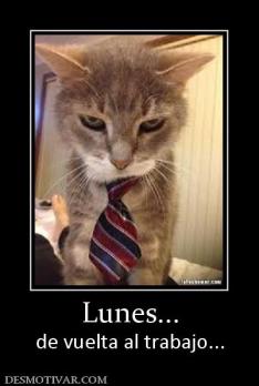 Lunes... de vuelta al trabajo...