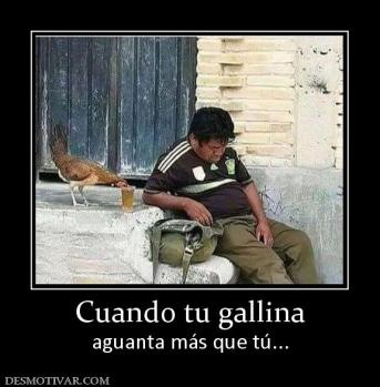 Cuando tu gallina aguanta más que tú...