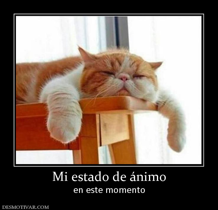 Mi estado de ánimo en este momento