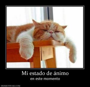 Mi estado de ánimo en este momento