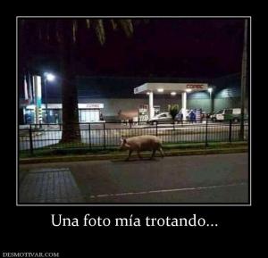 Una foto mía trotando...