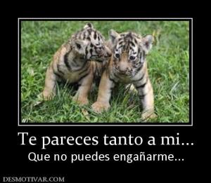 Te pareces tanto a mi... Que no puedes engañarme...