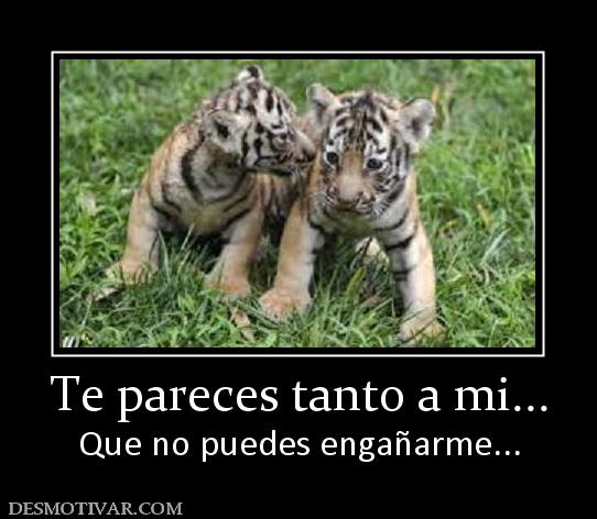 Te pareces tanto a mi... Que no puedes engañarme...