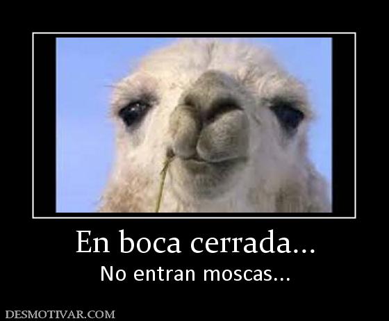 En boca cerrada... No entran moscas...