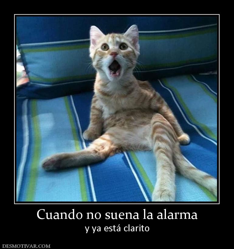 Cuando no suena la alarma y ya está clarito