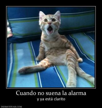 Cuando no suena la alarma y ya está clarito