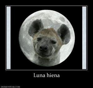 Luna hiena