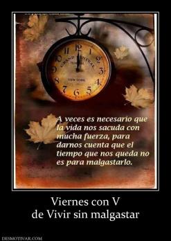Viernes con V de Vivir sin malgastar