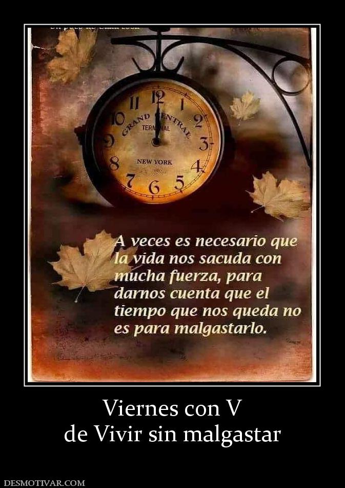 Viernes con V de Vivir sin malgastar