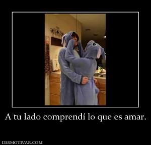A tu lado comprendí lo que es amar.