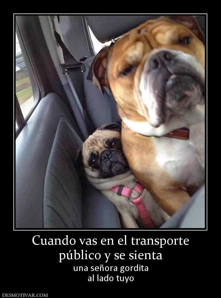 Cuando vas en el transporte público y se sienta una señora gordita al lado tuyo