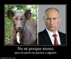 No sé porque siento que mi perro se parece a alguien