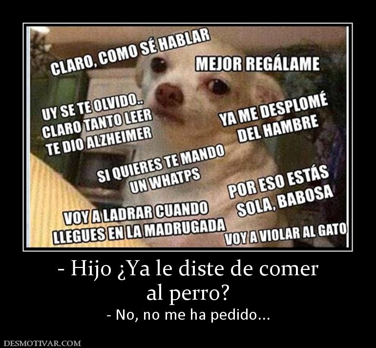 - Hijo ¿Ya le diste de comer al perro? - No, no me ha pedido...