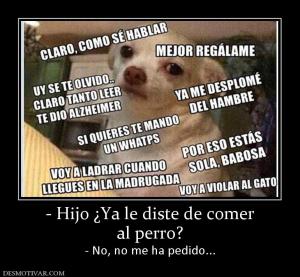 - Hijo ¿Ya le diste de comer al perro? - No, no me ha pedido...