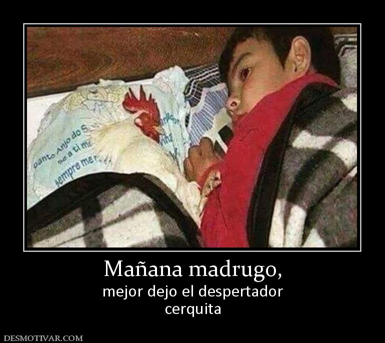 Mañana madrugo, mejor dejo el despertador cerquita