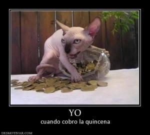 YO cuando cobro la quincena