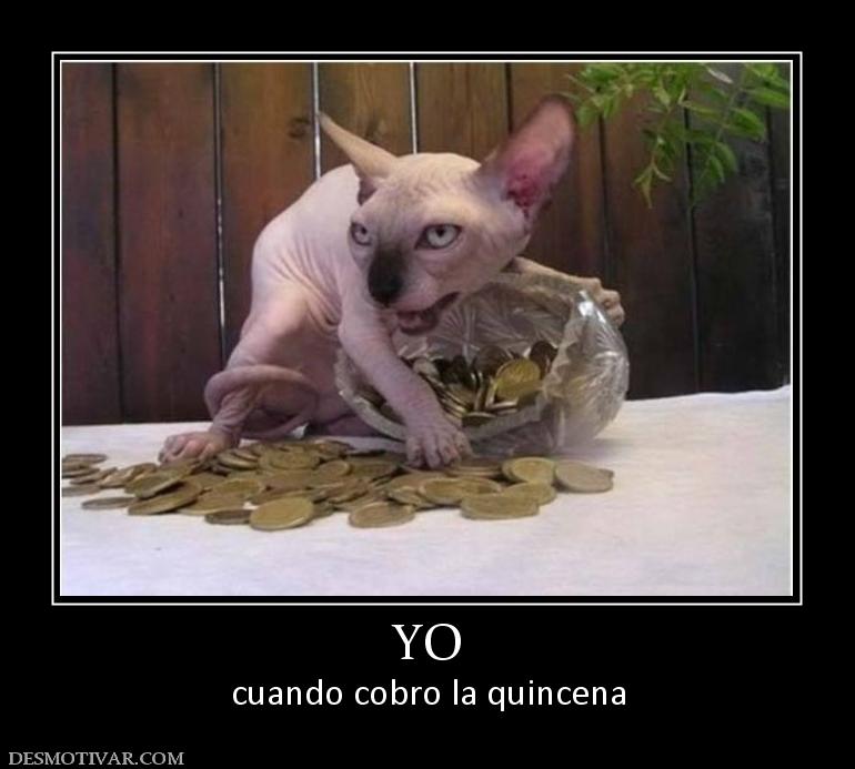 YO cuando cobro la quincena