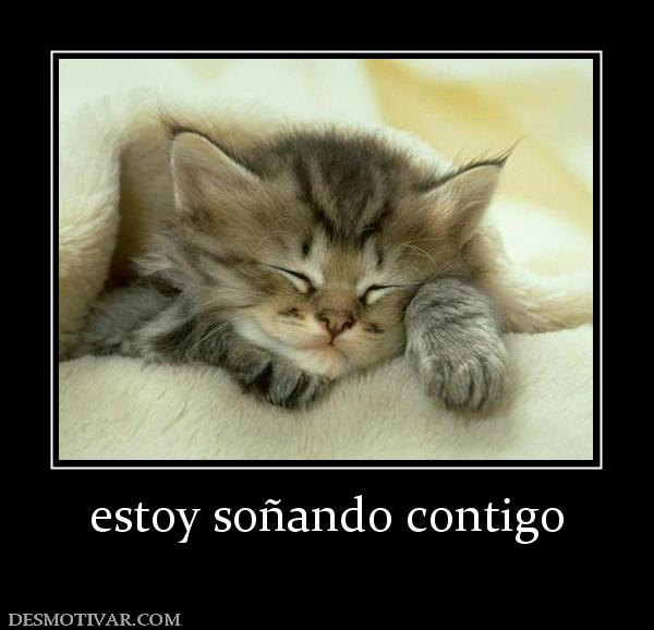 estoy soñando contigo