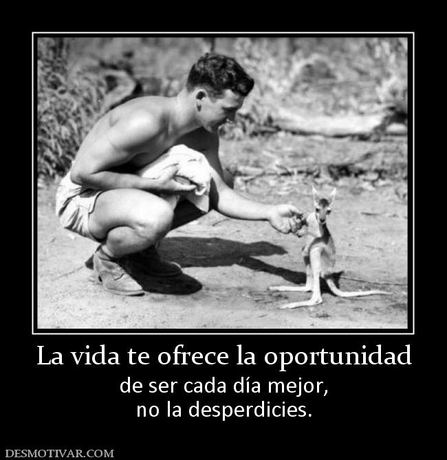 La vida te ofrece la oportunidad de ser cada día mejor, no la desperdicies.