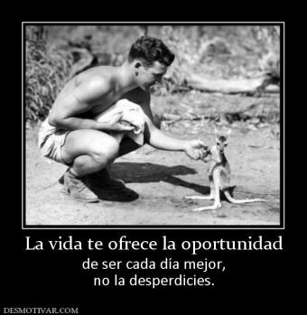 La vida te ofrece la oportunidad de ser cada día mejor, no la desperdicies.