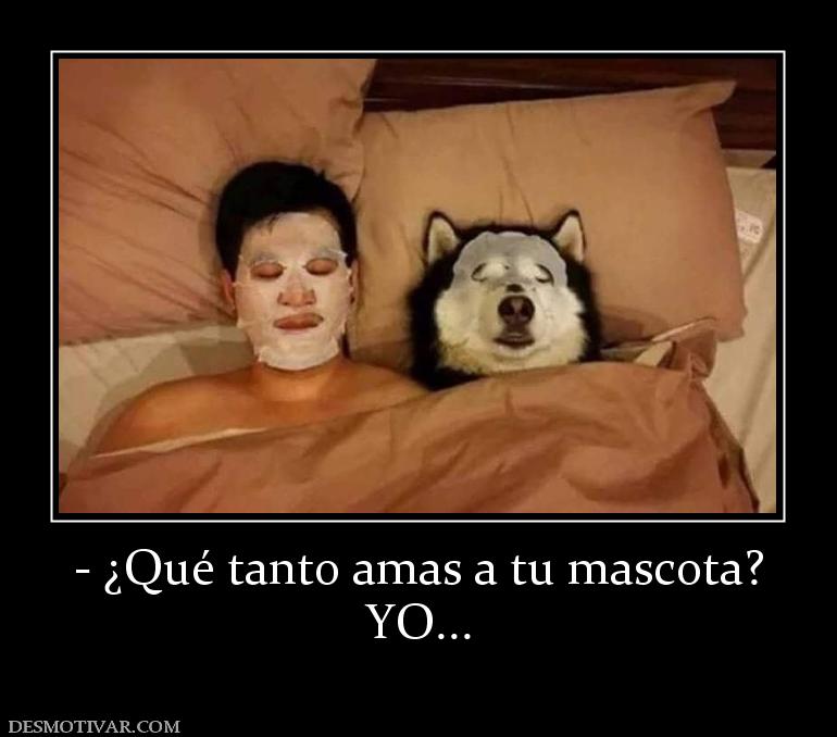 - ¿Qué tanto amas a tu mascota? YO...