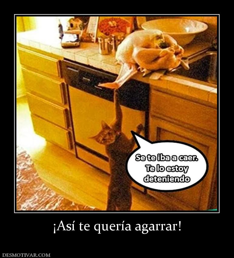 ¡Así te quería agarrar!