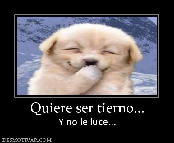 Quiere ser tierno... Y no le luce...