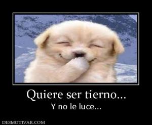 Quiere ser tierno... Y no le luce...