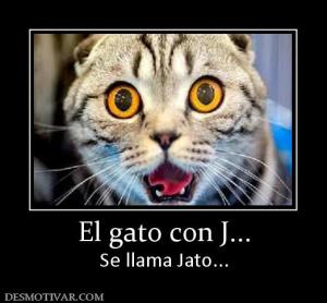 El gato con J... Se llama Jato...