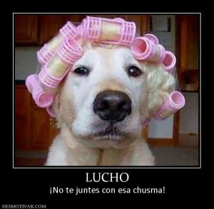 LUCHO ¡No te juntes con esa chusma!
