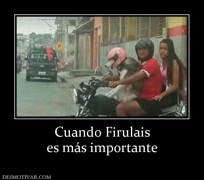 Cuando Firulais es más importante