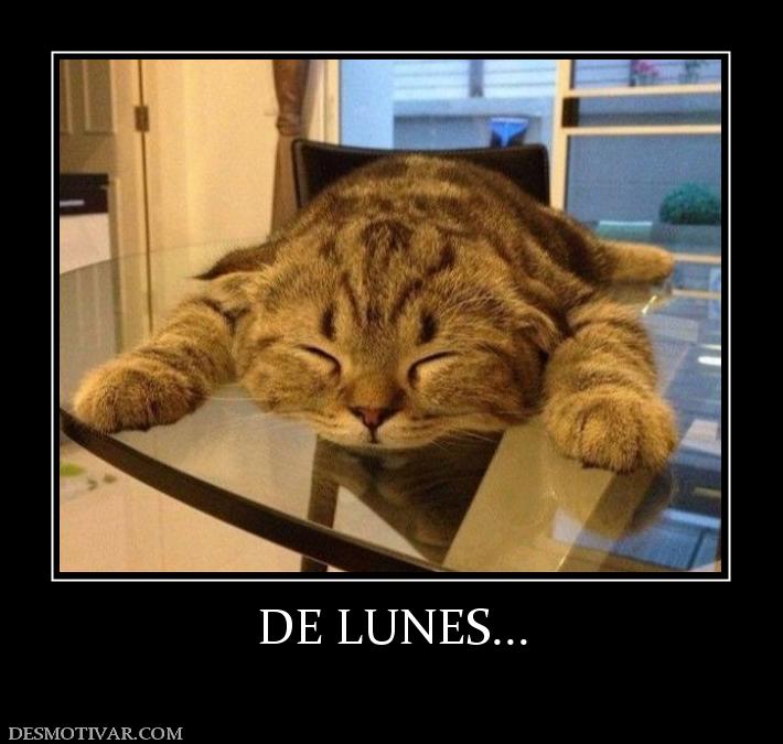 DE LUNES...