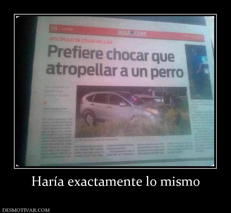 Haría exactamente lo mismo