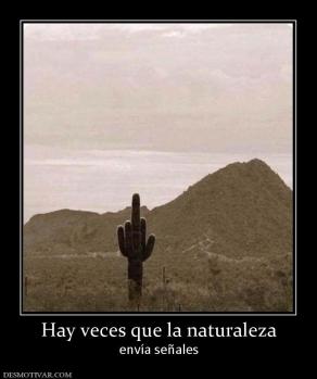 Hay veces que la naturaleza envía señales
